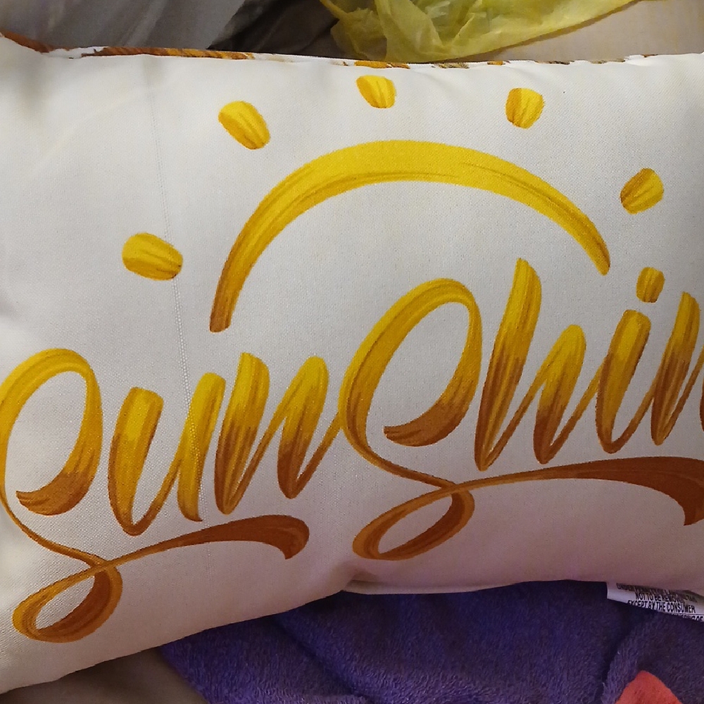 SUNSHINE Decorative Throw Pillow Zip Off Cover Corded Trim NWT